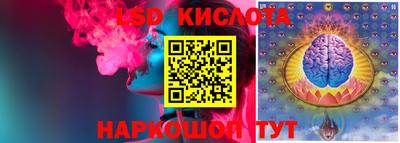PSILOCYBIN Нальчик