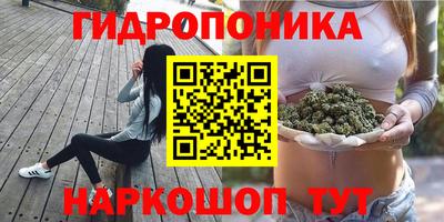 PSILOCYBIN Нальчик
